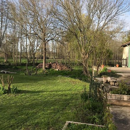 Ancien Moulin A Eau Sur La Seugne Apartment Mosnac  Bagian luar foto