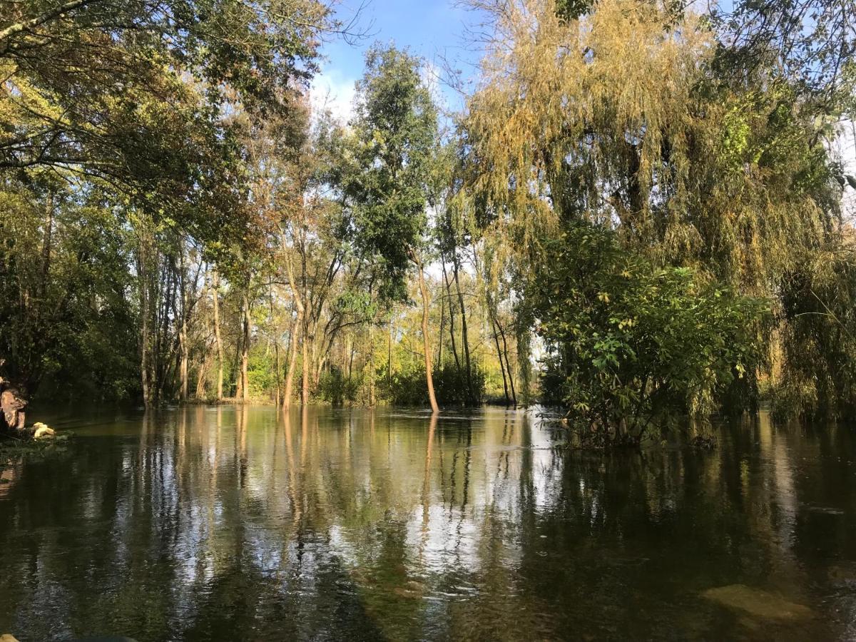 Ancien Moulin A Eau Sur La Seugne Apartment Mosnac  Bagian luar foto